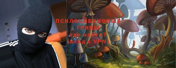 шишки Беломорск