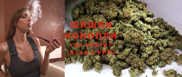 шишки Беломорск