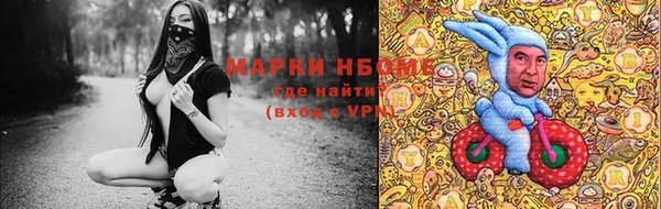 шишки Беломорск