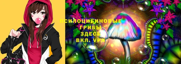 шишки Беломорск