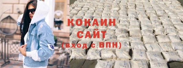 шишки Беломорск