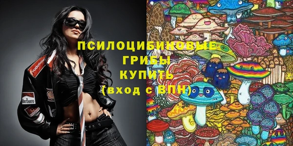 mix Белокуриха